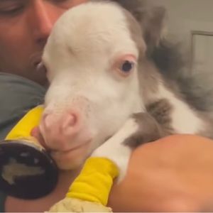 Meet your Posher, Kerry